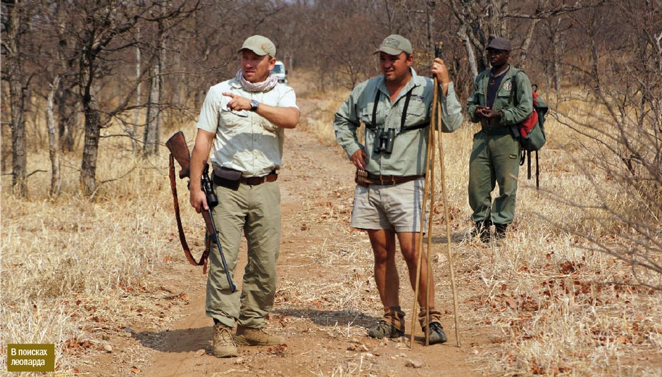 В Зимбабве за леопардом