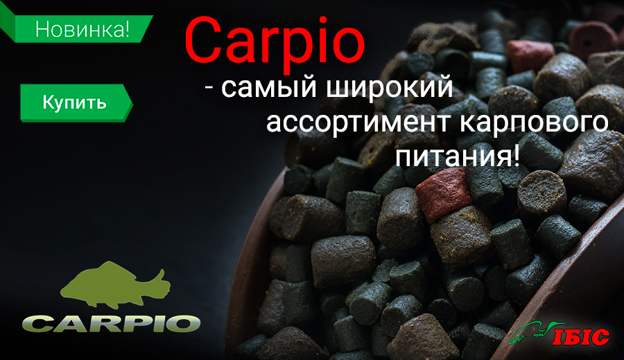 Carpio-900х520
