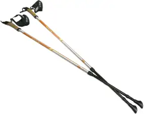 Палки для скандинавської ходьби Silva EX-Pole Alu Adjustable 105–140cm