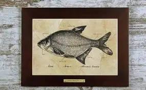 Картина Fish-Point «Лящ»