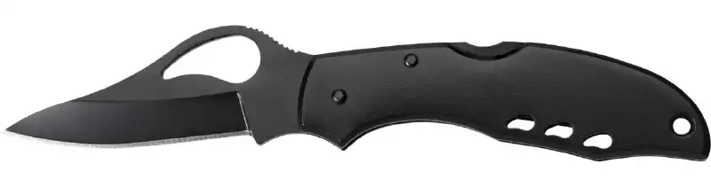 Нож Spyderco Byrd Meadowlark Black