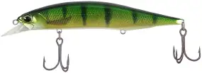 Воблер DUO Realis Jerkbait 120SP Pike 120mm 17.8g CCC3864 Perch ND