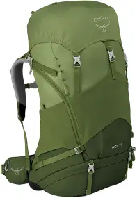 Рюкзак Osprey Ace 75 O/S Venture Green