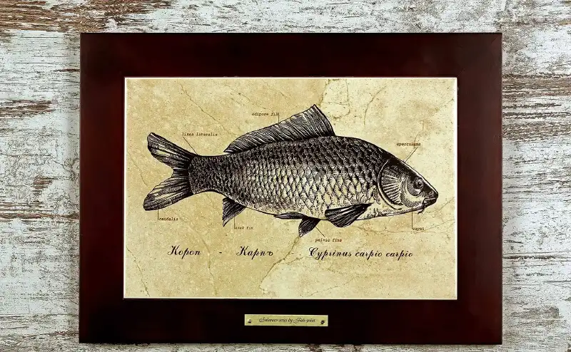 Картина Fish-Point «Карп»