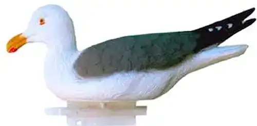 Підсадна чайка Sport Plast
