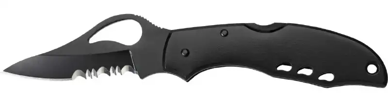 Нож Spyderco Byrd Meadowlark Black