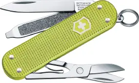 Нож Victorinox Classic SD Alox Colors 0.6221.241G Lime Twist