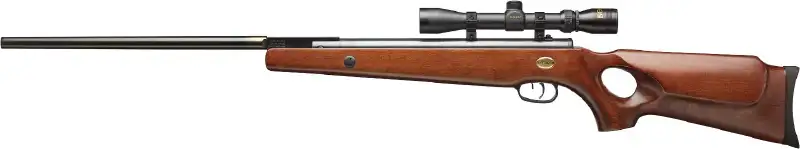 Гвинтівка пневматична Beeman Bear Claw (приціл 3-9х32)