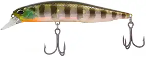 Воблер DUO Realis Jerkbait 100SP 100mm 14.5g CCC3158 Ghost Gill