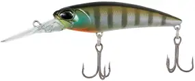 Воблер DUO Realis Shad 62DR SP 62mm 6.0g CCC3158 (1.5-2.5m)