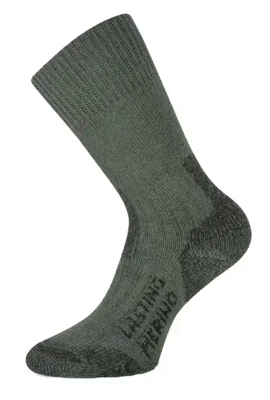 Шкарпетки Lasting TXC 620 Merino wool ц:зелений