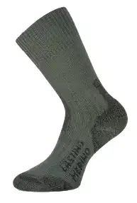Шкарпетки Lasting TXC 620 L Merino wool Зелений