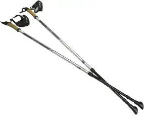 Палки для скандинавської ходьби Silva EX-Pole Alu Adjustable 105–140cm