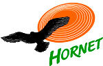 Hornet Holesov